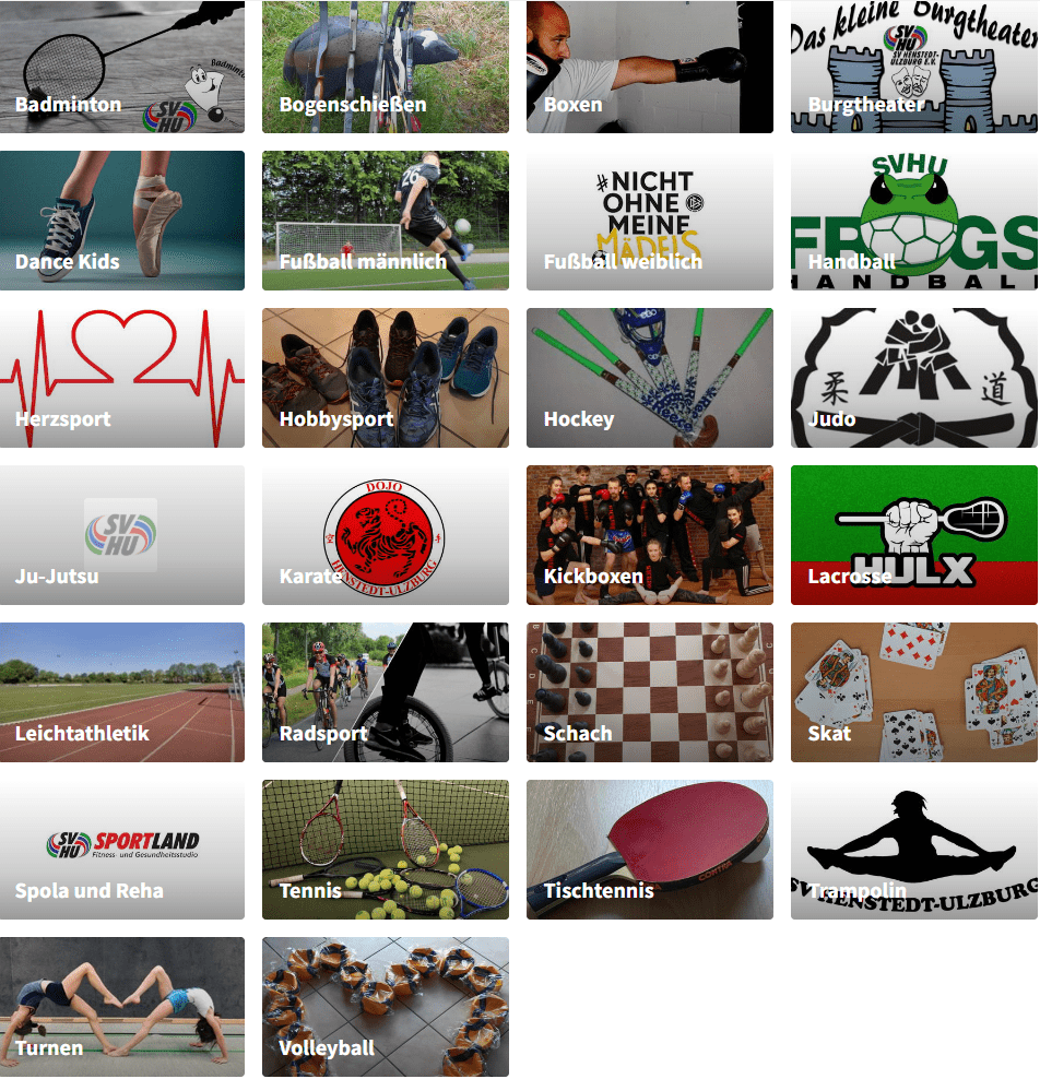 Eine Sammlung von Sport-Icons, die verschiedene Sportarten wie Fußball, Boxen und Tennis darstellen.