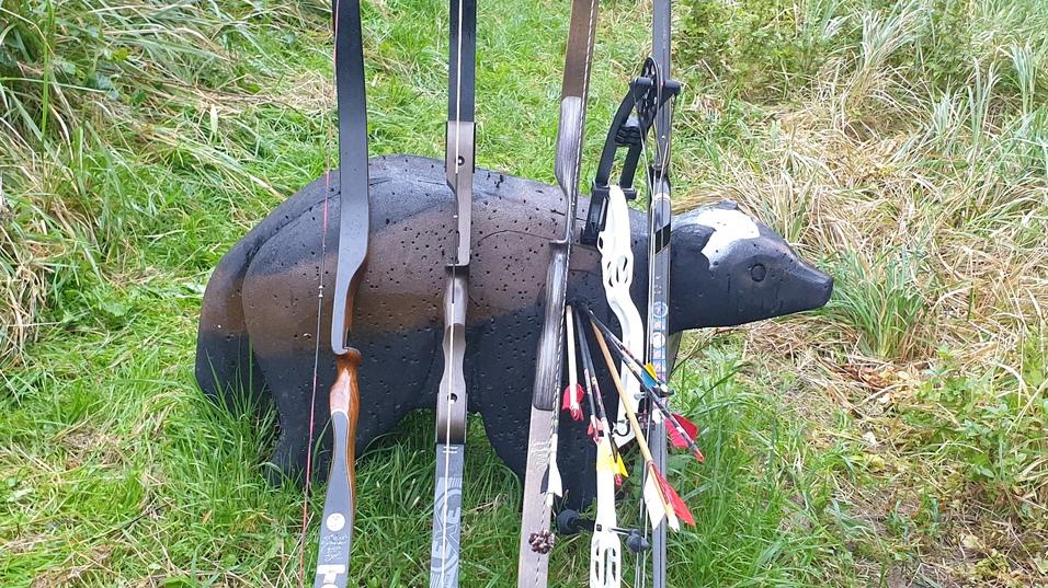 B&ouml;gen und Pfeile lehnen an einem Tierziel in Form eines Dachsen auf einer Wiese neben einer Zielscheibe.