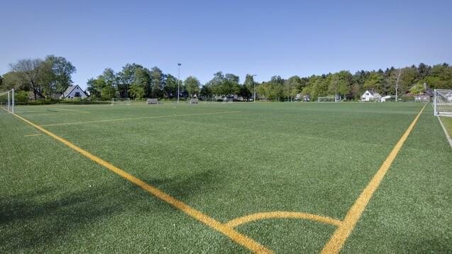 Weitblick &uuml;ber einen soccerplatz mit Kunstrasen, Toren und umgebender Vegetation unter blauem Himmel.