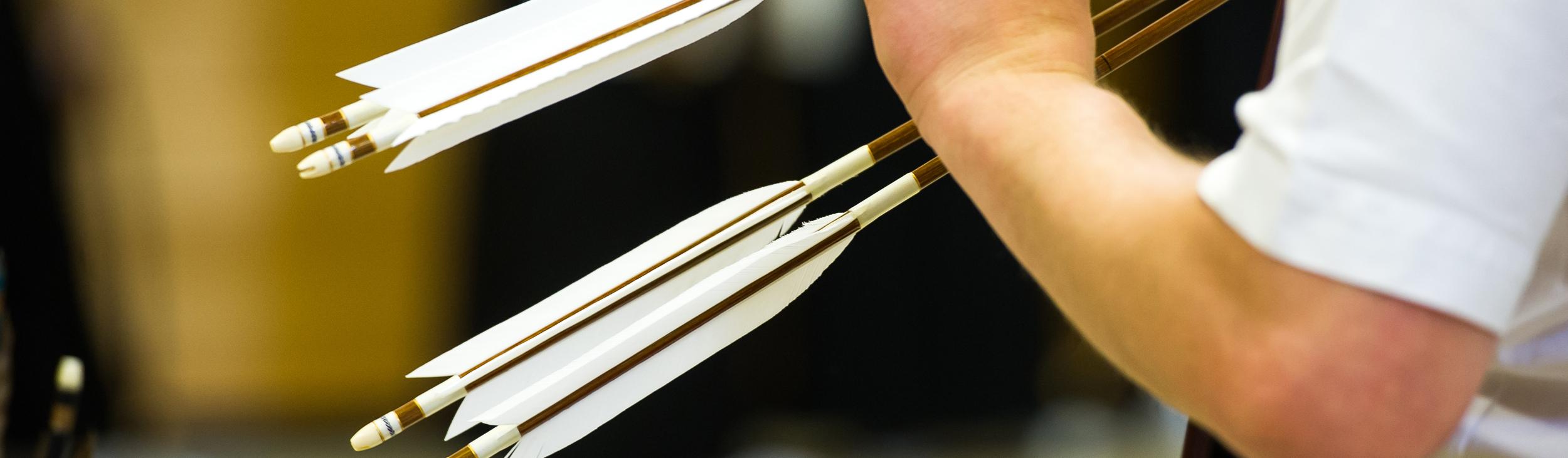 Nahaufnahme einer Hand, die mehrere Pfeile mit weißen Federn in einer Sportumgebung hält.